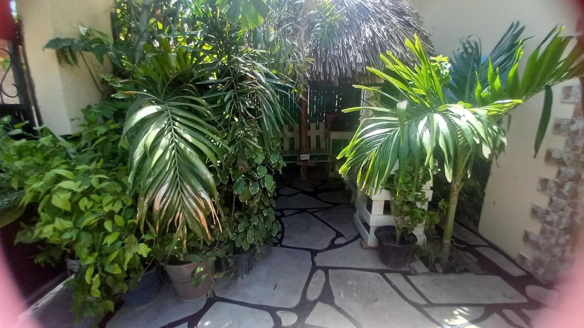 Mount Zion Guest House, Mtwapa Mtomondoni مومباسا المظهر الخارجي الصورة