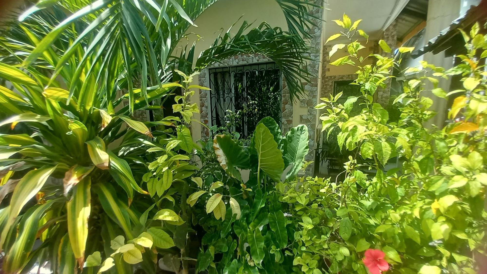 Mount Zion Guest House, Mtwapa Mtomondoni مومباسا المظهر الخارجي الصورة