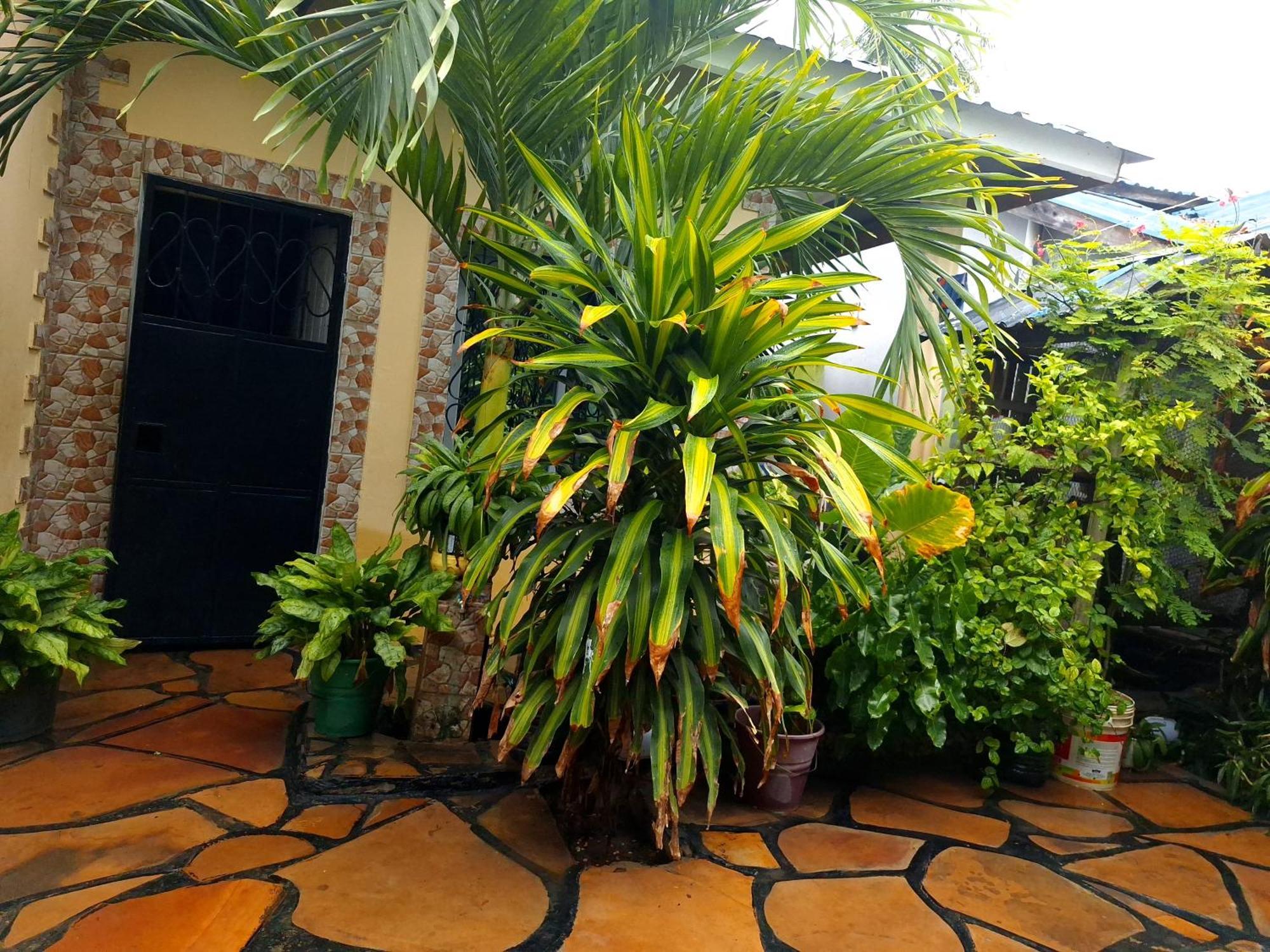 Mount Zion Guest House, Mtwapa Mtomondoni مومباسا المظهر الخارجي الصورة