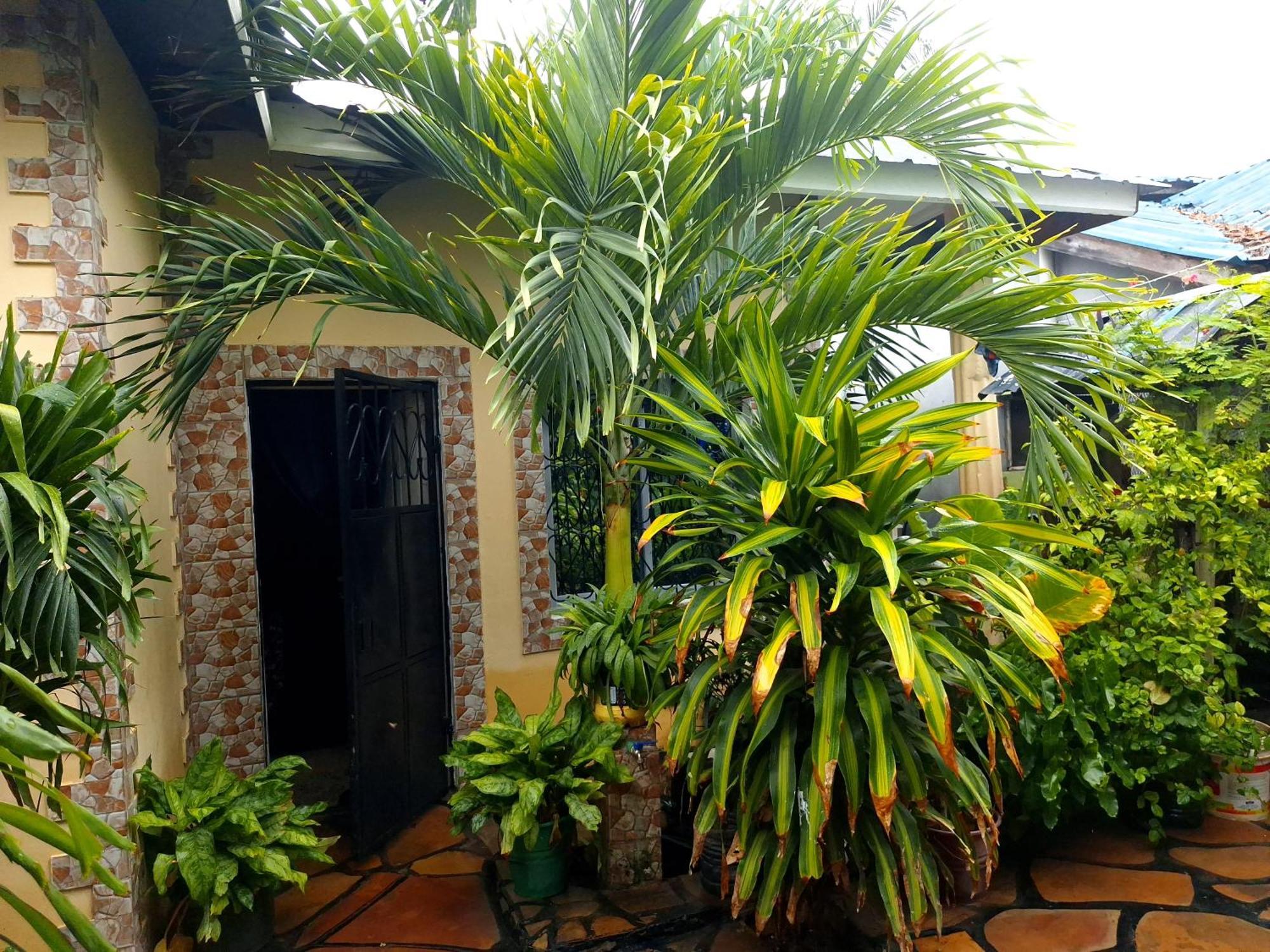 Mount Zion Guest House, Mtwapa Mtomondoni مومباسا المظهر الخارجي الصورة